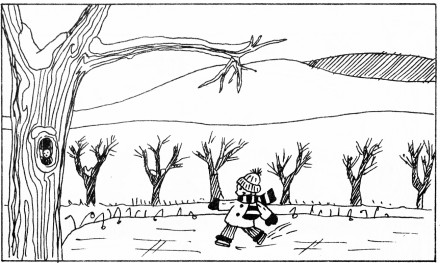 GodsCreation_page16pic1 (440 x 263) (42K)