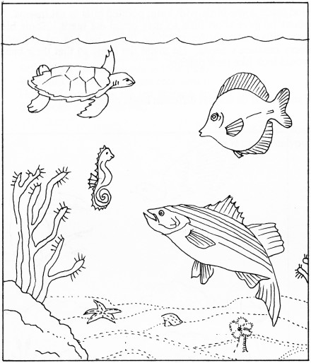 GodsCreation_page19pic1 (440 x 514) (58K)