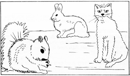 GodsCreation_page23pic2 (440 x 260) (35K)