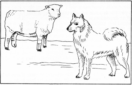 GodsCreation_page23pic3 (440 x 283) (35K)