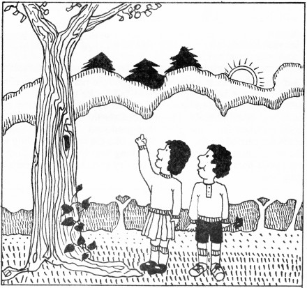 GodsCreation_page33pic1 (440 x 413) (69K)