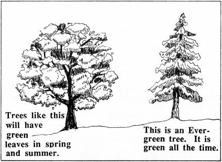 GodsCreation_page34pic1 (440 x 322) (50K)