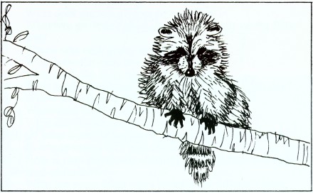 GodsCreation_page35pic2 (440 x 272) (34K)