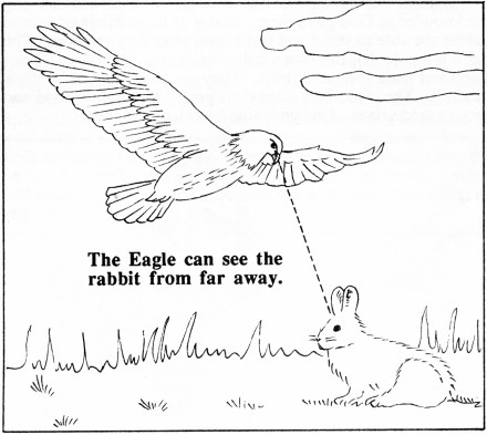 GodsCreation_page36pic1 (440 x 393) (41K)