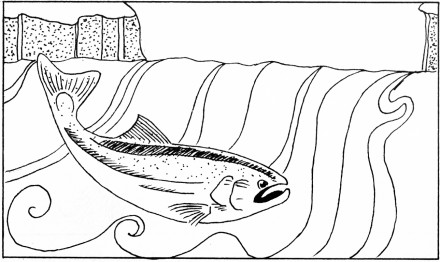 GodsCreation_page43pic1 (440 x 262) (37K)
