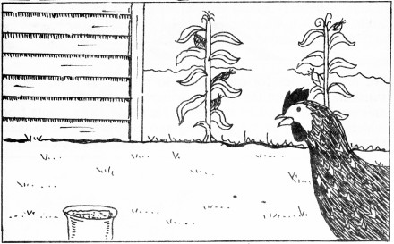 GodsCreation_page49pic1 (440 x 273) (41K)