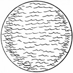 GodsCreation_page8pic2 (150 x 150) (12K)